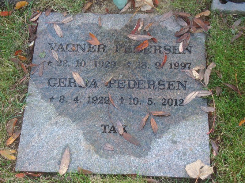 Vagner Pedersen.JPG